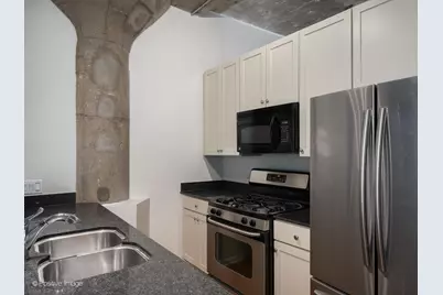 1070 W 15th Street #309, Chicago, IL 60608 - Photo 10