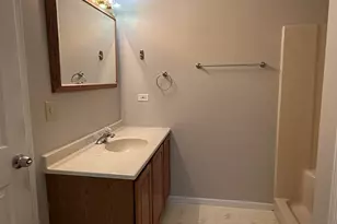 334 Panama Ave, Hampshire, IL 60140 - Photo 14