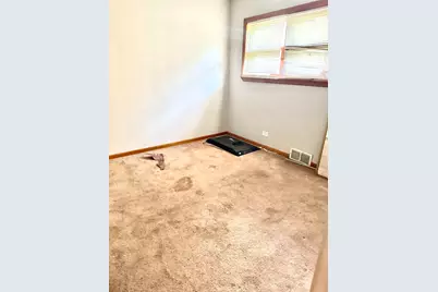 927 S Stough Street, Hinsdale, IL 60521 - Photo 8