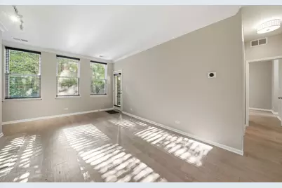 1225 N Orleans Street #602, Chicago, IL 60610 - Photo 4