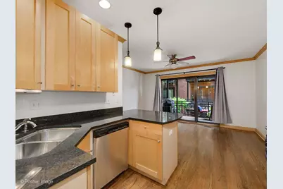 1151 W Grace Street #1S, Chicago, IL 60613 - Photo 8