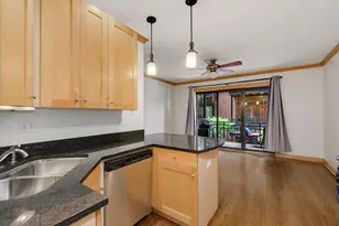1151 W Grace St, Chicago, IL 60613 - Photo 8