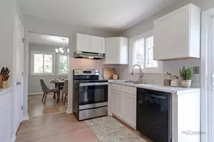 227 E Lakeside Dr, Vernon Hills, IL 60061 - Photo 4