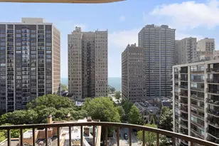 1501 N State Pkwy, Chicago, IL 60610 - Photo 18