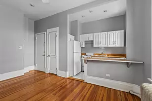 20 E Goethe St, Chicago, IL 60610 - Photo 4