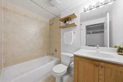 1919 S Michigan Avenue #208, Chicago, IL 60616 - Photo 18
