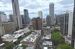 1000 N Lake Shore Dr, Chicago, IL 60611 - Photo 26