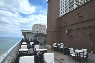 1000 N Lake Shore Dr, Chicago, IL 60611 - Photo 28