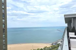 1000 N Lake Shore Dr, Chicago, IL 60611 - Photo 24