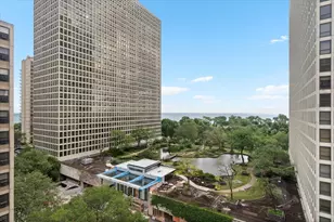 5050 S East End Ave, Chicago, IL 60615 - Photo 12