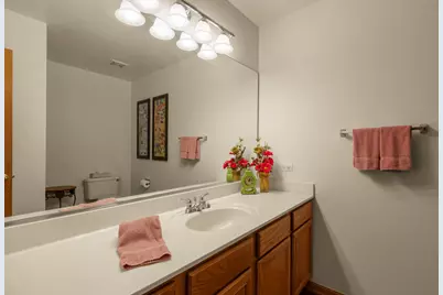4 Wellesley Court, Hawthorn Woods, IL 60047 - Photo 18