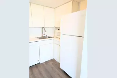 440 N Wabash Avenue #2003, Chicago, IL 60611 - Photo 10