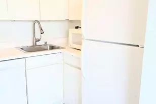 440 N Wabash Ave, Chicago, IL 60611 - Photo 10