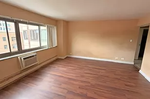 7337 S South Shore Dr, Chicago, IL 60649 - Photo 22