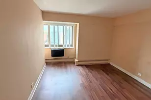 7337 S South Shore Dr, Chicago, IL 60649 - Photo 14