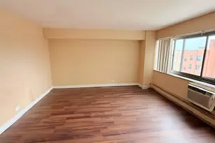 7337 S South Shore Dr, Chicago, IL 60649 - Photo 20