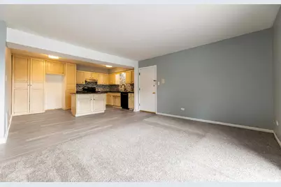 4831 W 109th Street #104, Oak Lawn, IL 60453 - Photo 8
