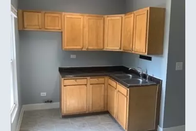 8329 S Buffalo Avenue, Chicago, IL 60617 - Photo 4