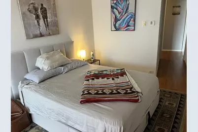 300 N State Street #4809, Chicago, IL 60654 - Photo 10