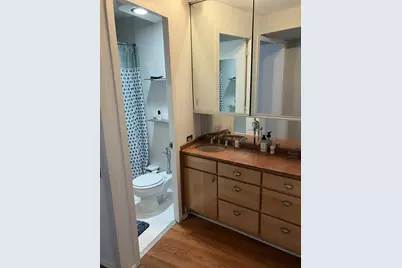 300 N State Street #4809, Chicago, IL 60654 - Photo 12