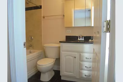 1711 W Jarvis Avenue #102, Chicago, IL 60626 - Photo 26