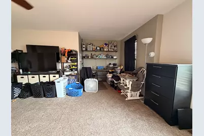 909 Timber Springs Drive, Joliet, IL 60432 - Photo 12