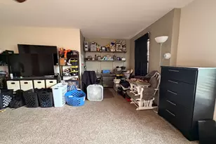 909 Timber Springs Dr, Joliet, IL 60432 - Photo 12