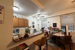 3727 N Pine Grove Ave, Chicago, IL 60613 - Photo 2