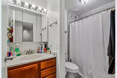 222 E Pearson Street #1006, Chicago, IL 60611 - Photo 8