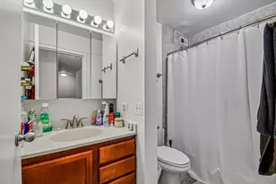 222 E Pearson St, Chicago, IL 60611 - Photo 8