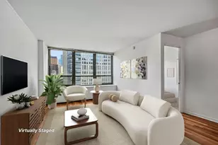 222 E Pearson St, Chicago, IL 60611 - Photo 2