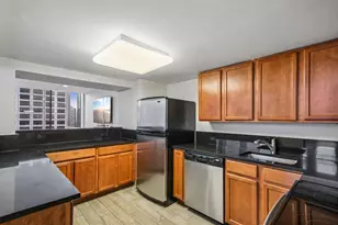 222 E Pearson St, Chicago, IL 60611 - Photo 16