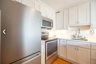 1460 N Sandburg Terrace, Chicago, IL 60610 - Photo 4