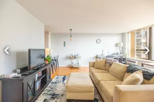 1460 N Sandburg Terrace, Chicago, IL 60610 - Photo 8