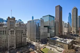 250 E Pearson St, Chicago, IL 60611 - Photo 24
