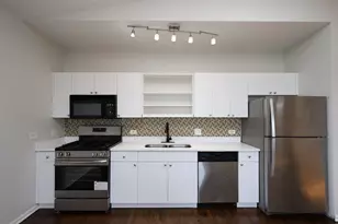 519 S Maplewood Ave, Chicago, IL 60612 - Photo 8