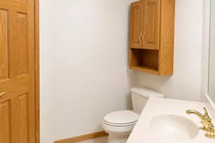 10427 Songbird Cir, Orland Park, IL 60467 - Photo 14