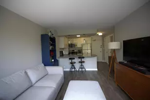 70 W Burton Pl, Chicago, IL 60610 - Photo 4