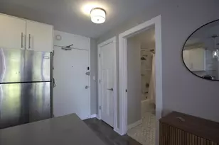 70 W Burton Pl, Chicago, IL 60610 - Photo 4
