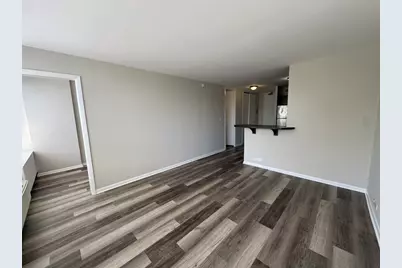 4800 S Chicago Beach Drive #308S, Chicago, IL 60615 - Photo 6