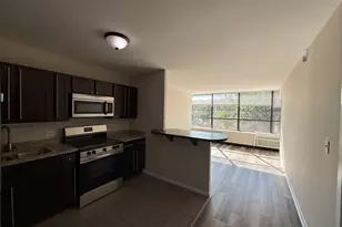 4800 S Chicago Beach Dr, Chicago, IL 60615 - Photo 12