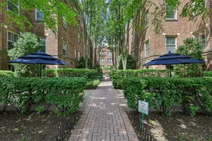 221 N Oak Park Ave, Oak Park, IL 60302 - Photo 14