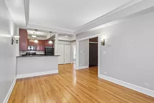 221 N Oak Park Ave, Oak Park, IL 60302 - Photo 4