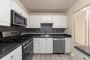 245 S Park Ln, Palatine, IL 60074 - Photo 10