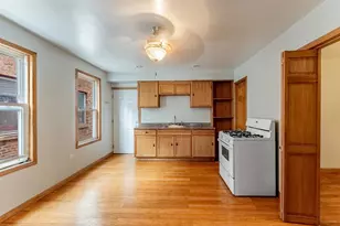 1019 W 18th St, Chicago, IL 60608 - Photo 24