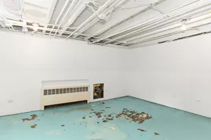 642 E Chicago St, Elgin, IL 60120 - Photo 30