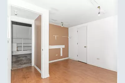 642 E Chicago Street, Elgin, IL 60120 - Photo 38
