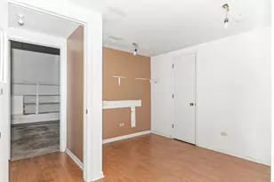 642 E Chicago St, Elgin, IL 60120 - Photo 38