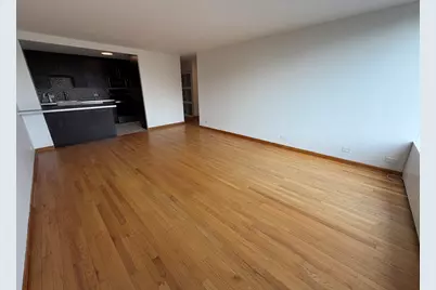 3930 N Pine Grove Avenue #604, Chicago, IL 60613 - Photo 2