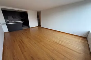 3930 N Pine Grove Ave, Chicago, IL 60613 - Photo 2
